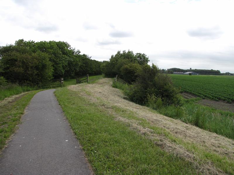 griene dyk.jpg - De griene dyk, een oude dijk uit 1200 die nu een fraai pad vormt door de natuur buiten St. Jacobiparochie. Erg mooi om te wandelen.